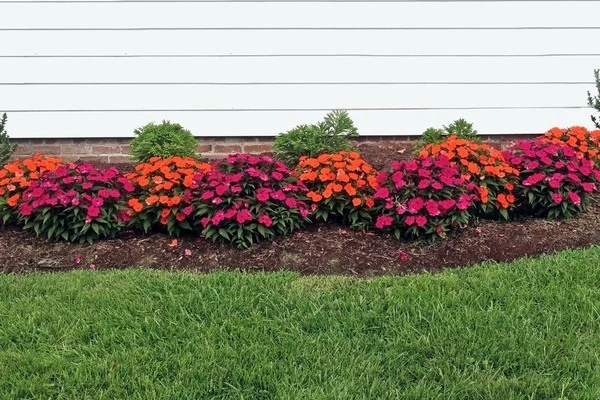 Professional landscaper in Channelview, TX