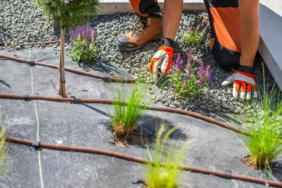 Affordable Landscape Installation Channelview, TX