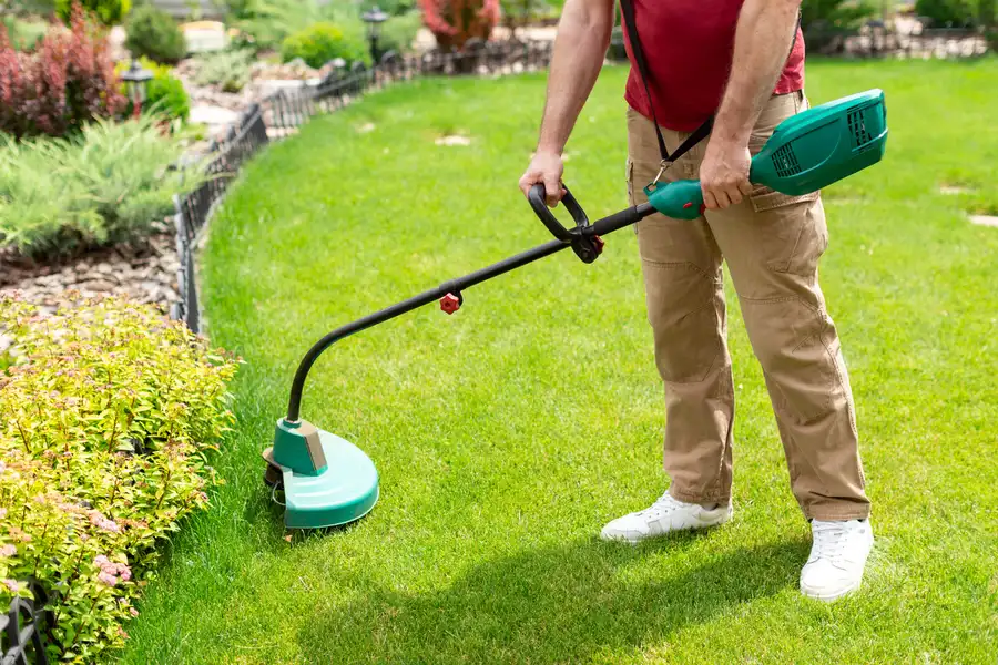 Excellent Lawn Care Services Channelview, TX