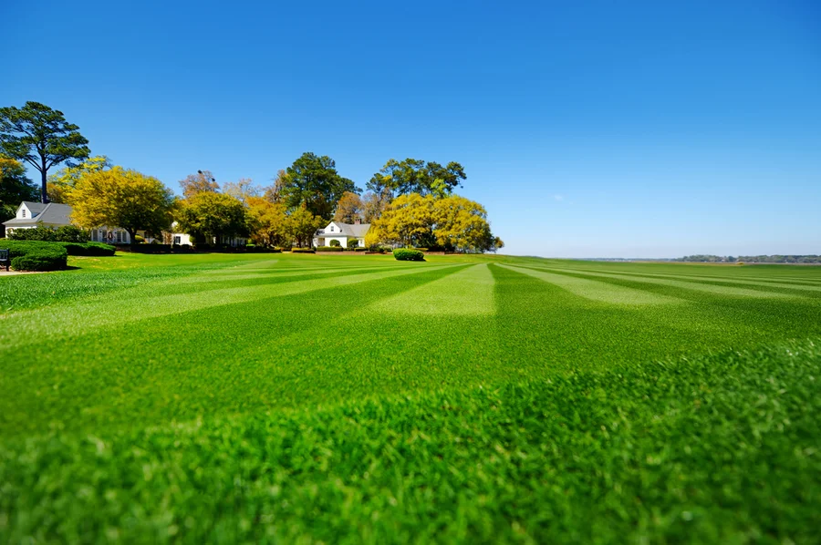 How Lawn Care Services Keep Your Yard Healthy Year-round in Channelview, TX