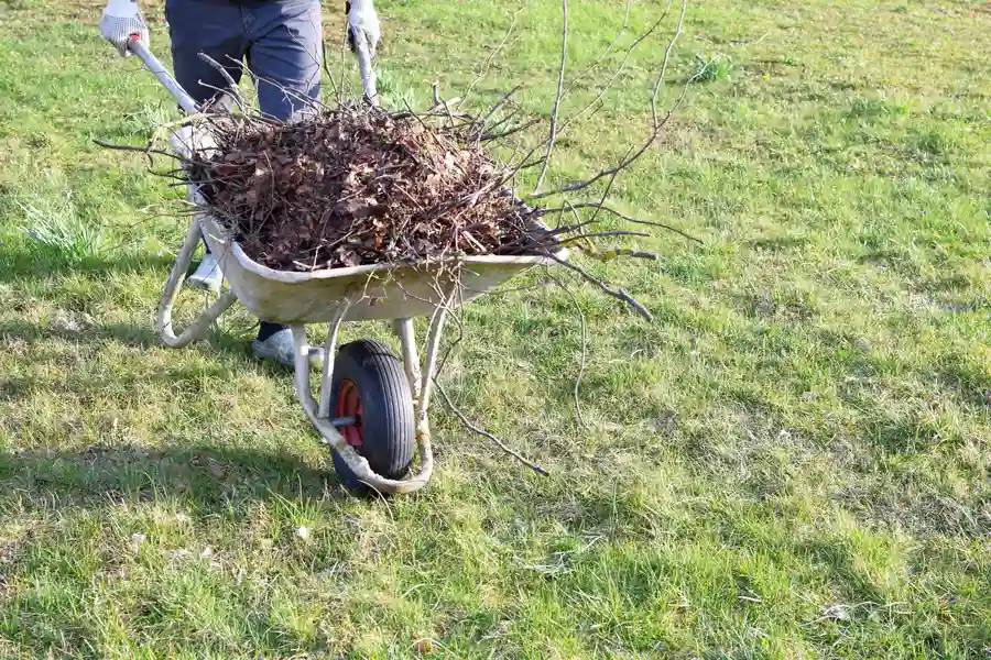 How Professional Yard Cleaning Boosts Property Value Channelview, TX