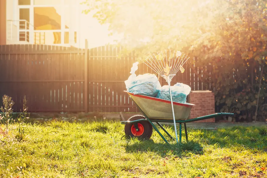 How Professional Yard Cleaning Boosts Property Value in Channelview, TX