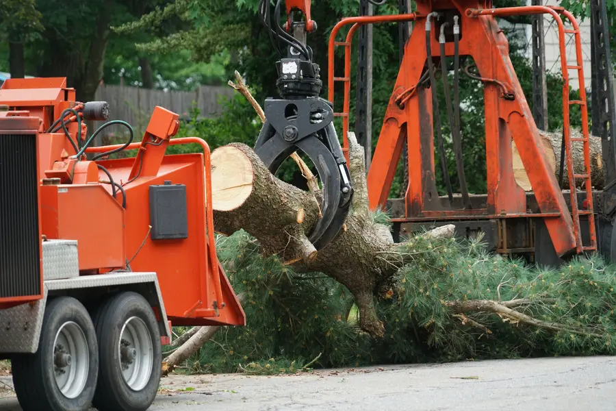 Professional Tree Service Channelview, TX
