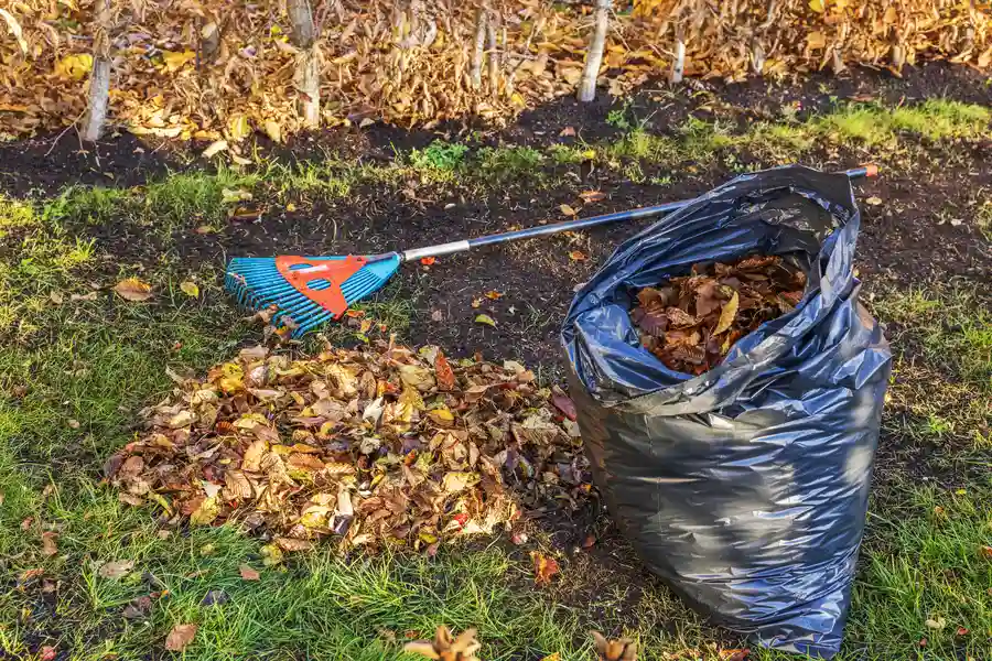 Quality Yard Cleaning Services Channelview, TX
