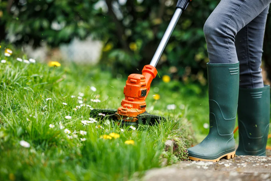 Reliable Lawn Care Services Channelview, TX