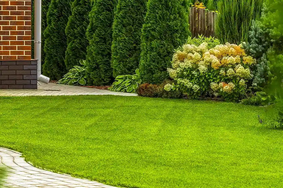 Reputable Lawn Care Services Channelview, TX