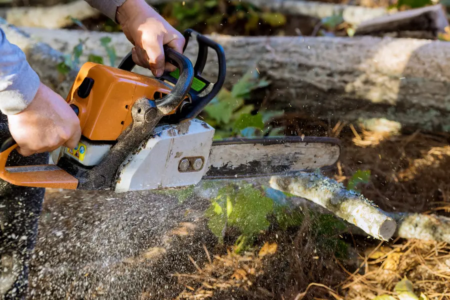 Superior Tree Service Channelview, TX