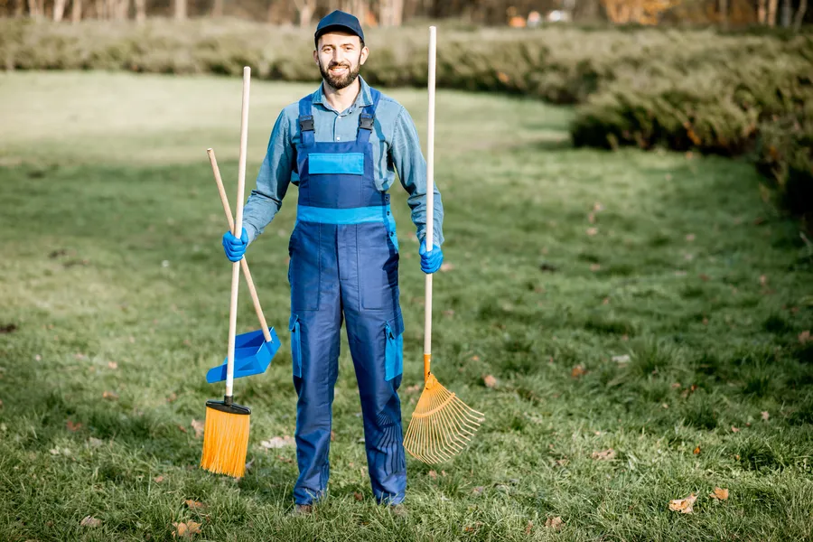 Top-rated Yard Cleaning Services Channelview, TX