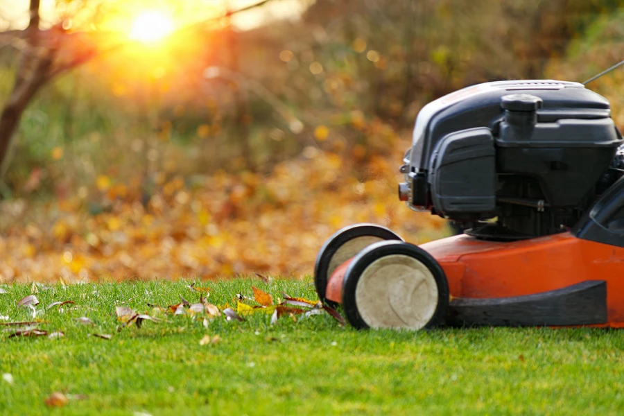 Why Regular Lawn Care Is Essential For A Lush Green Lawn in Channelview, TX