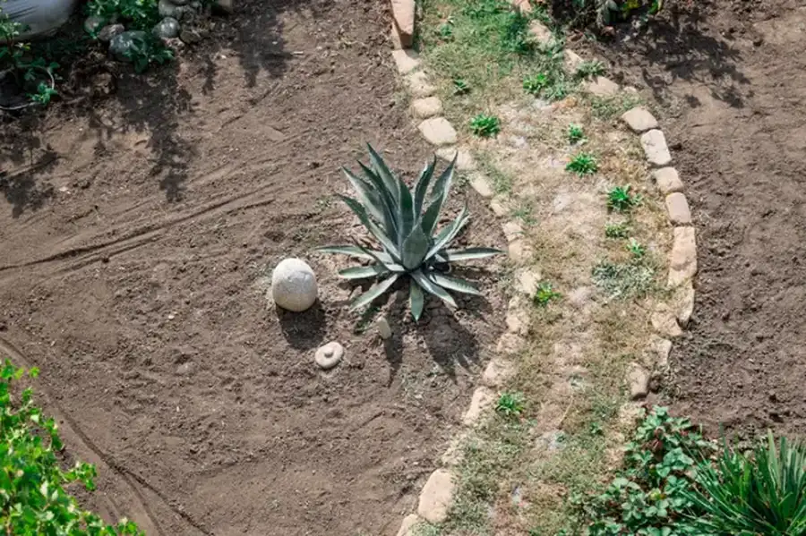 Why Soil Preparation Matters In Landscape Installation Channelview, TX