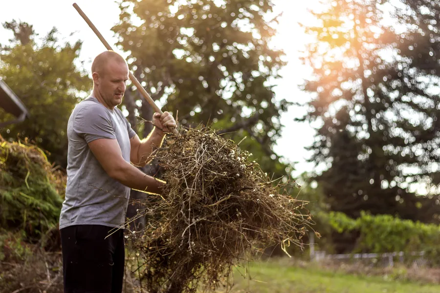 Why Yard Cleaning Services Save You Time And Effort in Channelview, TX